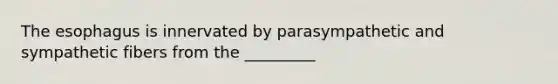 The esophagus is innervated by parasympathetic and sympathetic fibers from the _________