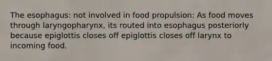 The esophagus: not involved in food propulsion: As food moves through laryngopharynx, its routed into esophagus posteriorly because epiglottis closes off epiglottis closes off larynx to incoming food.