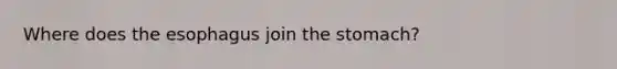 Where does the esophagus join the stomach?