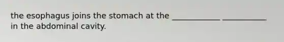 <a href='https://www.questionai.com/knowledge/kSjVhaa9qF-the-esophagus' class='anchor-knowledge'>the esophagus</a> joins the stomach at the ____________ ___________ in the abdominal cavity.