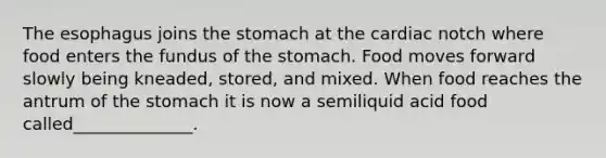 The esophagus joins the stomach at the cardiac notch where food enters the fundus of the stomach. Food moves forward slowly being kneaded, stored, and mixed. When food reaches the antrum of the stomach it is now a semiliquid acid food called______________.