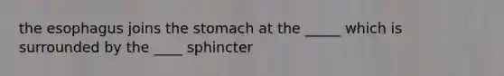 the esophagus joins the stomach at the _____ which is surrounded by the ____ sphincter