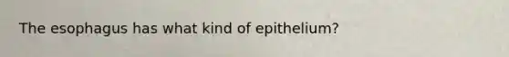 <a href='https://www.questionai.com/knowledge/kSjVhaa9qF-the-esophagus' class='anchor-knowledge'>the esophagus</a> has what kind of epithelium?