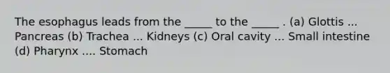 The esophagus leads from the _____ to the _____ . (a) Glottis ... Pancreas (b) Trachea ... Kidneys (c) Oral cavity ... Small intestine (d) Pharynx .... Stomach