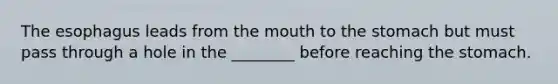 <a href='https://www.questionai.com/knowledge/kSjVhaa9qF-the-esophagus' class='anchor-knowledge'>the esophagus</a> leads from <a href='https://www.questionai.com/knowledge/krBoWYDU6j-the-mouth' class='anchor-knowledge'>the mouth</a> to <a href='https://www.questionai.com/knowledge/kLccSGjkt8-the-stomach' class='anchor-knowledge'>the stomach</a> but must pass through a hole in the ________ before reaching the stomach.