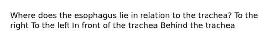 Where does the esophagus lie in relation to the trachea? To the right To the left In front of the trachea Behind the trachea