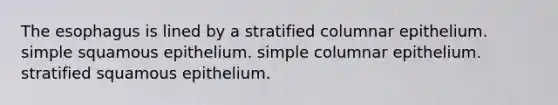 The esophagus is lined by a stratified columnar epithelium. simple squamous epithelium. simple columnar epithelium. stratified squamous epithelium.