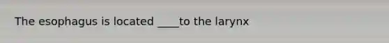 The esophagus is located ____to the larynx