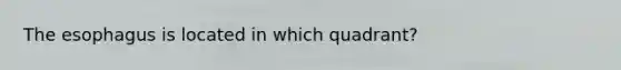 The esophagus is located in which quadrant?