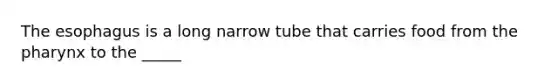 The esophagus is a long narrow tube that carries food from the pharynx to the _____