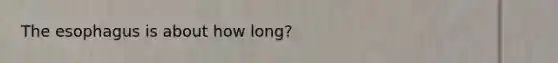 The esophagus is about how long?