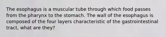 The esophagus is a muscular tube through which food passes from the pharynx to the stomach. The wall of the esophagus is composed of the four layers characteristic of the gastrointestinal tract, what are they?