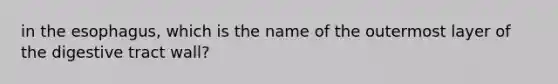 in the esophagus, which is the name of the outermost layer of the digestive tract wall?