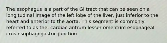 The esophagus is a part of the GI tract that can be seen on a longitudinal image of the left lobe of the liver, just inferior to the heart and anterior to the aorta. This segment is commonly referred to as the: cardiac antrum lesser omentum esophageal crus esophagogastric junction