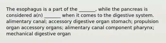 The esophagus is a part of the _______, while the pancreas is considered a(n) _______ when it comes to the digestive system. alimentary canal; accessory digestive organ stomach; propulsion organ accessory organs; alimentary canal component pharynx; mechanical digestive organ