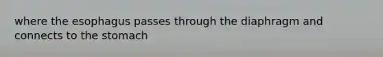 where the esophagus passes through the diaphragm and connects to the stomach