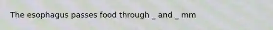 The esophagus passes food through _ and _ mm