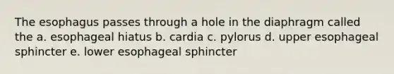 The esophagus passes through a hole in the diaphragm called the a. esophageal hiatus b. cardia c. pylorus d. upper esophageal sphincter e. lower esophageal sphincter