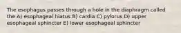 The esophagus passes through a hole in the diaphragm called the A) esophageal hiatus B) cardia C) pylorus D) upper esophageal sphincter E) lower esophageal sphincter