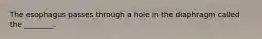 The esophagus passes through a hole in the diaphragm called the ________.