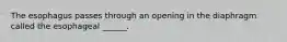 The esophagus passes through an opening in the diaphragm called the esophageal ______.