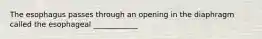 The esophagus passes through an opening in the diaphragm called the esophageal ____________