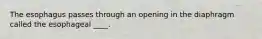 The esophagus passes through an opening in the diaphragm called the esophageal ____.