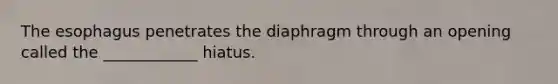 The esophagus penetrates the diaphragm through an opening called the ____________ hiatus.