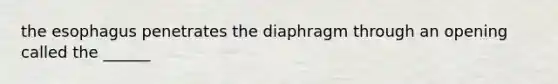 the esophagus penetrates the diaphragm through an opening called the ______