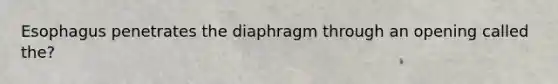 Esophagus penetrates the diaphragm through an opening called the?