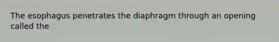 The esophagus penetrates the diaphragm through an opening called the