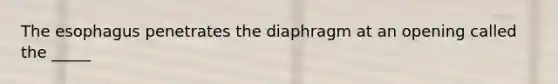 The esophagus penetrates the diaphragm at an opening called the _____