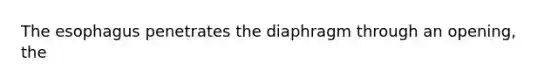 The esophagus penetrates the diaphragm through an opening, the