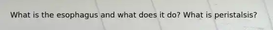 What is the esophagus and what does it do? What is peristalsis?
