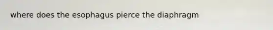 where does the esophagus pierce the diaphragm