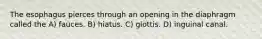 The esophagus pierces through an opening in the diaphragm called the A) fauces. B) hiatus. C) glottis. D) inguinal canal.