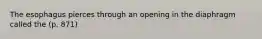 The esophagus pierces through an opening in the diaphragm called the (p. 871)