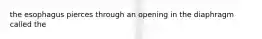 the esophagus pierces through an opening in the diaphragm called the