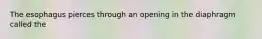 The esophagus pierces through an opening in the diaphragm called the