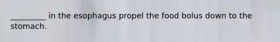 _________ in the esophagus propel the food bolus down to the stomach.