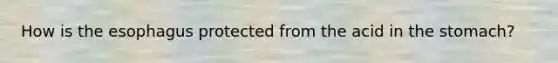 How is the esophagus protected from the acid in the stomach?