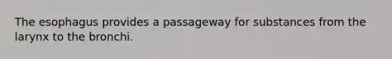 The esophagus provides a passageway for substances from the larynx to the bronchi.