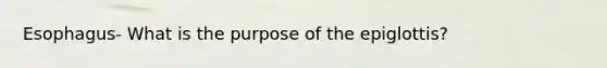 Esophagus- What is the purpose of the epiglottis?