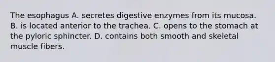 The esophagus A. secretes digestive enzymes from its mucosa. B. is located anterior to the trachea. C. opens to the stomach at the pyloric sphincter. D. contains both smooth and skeletal muscle fibers.