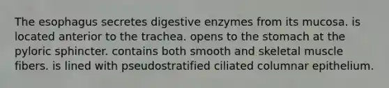 The esophagus secretes digestive enzymes from its mucosa. is located anterior to the trachea. opens to the stomach at the pyloric sphincter. contains both smooth and skeletal muscle fibers. is lined with pseudostratified ciliated columnar epithelium.