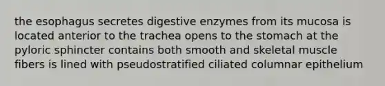 the esophagus secretes digestive enzymes from its mucosa is located anterior to the trachea opens to the stomach at the pyloric sphincter contains both smooth and skeletal muscle fibers is lined with pseudostratified ciliated columnar epithelium