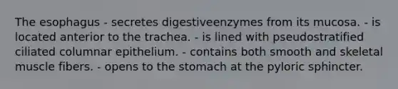 The esophagus - secretes digestiveenzymes from its mucosa. - is located anterior to the trachea. - is lined with pseudostratified ciliated columnar epithelium. - contains both smooth and skeletal muscle fibers. - opens to the stomach at the pyloric sphincter.