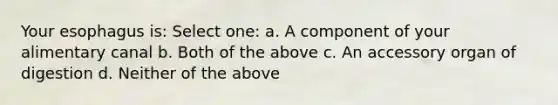 Your esophagus is: Select one: a. A component of your alimentary canal b. Both of the above c. An accessory organ of digestion d. Neither of the above
