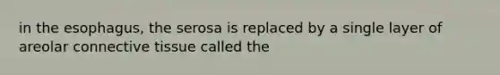 in the esophagus, the serosa is replaced by a single layer of areolar connective tissue called the