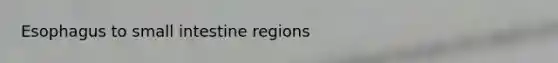 Esophagus to small intestine regions